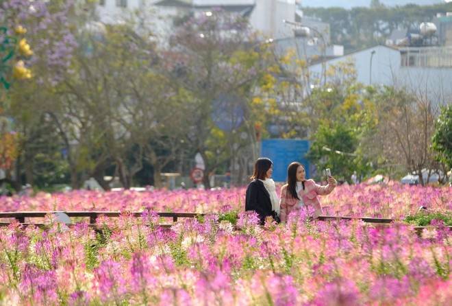 Lâm Đồng: Tết Nguyên đán thu hút hơn 380.000 lượt du khách tăng 35,7% so với năm 2024