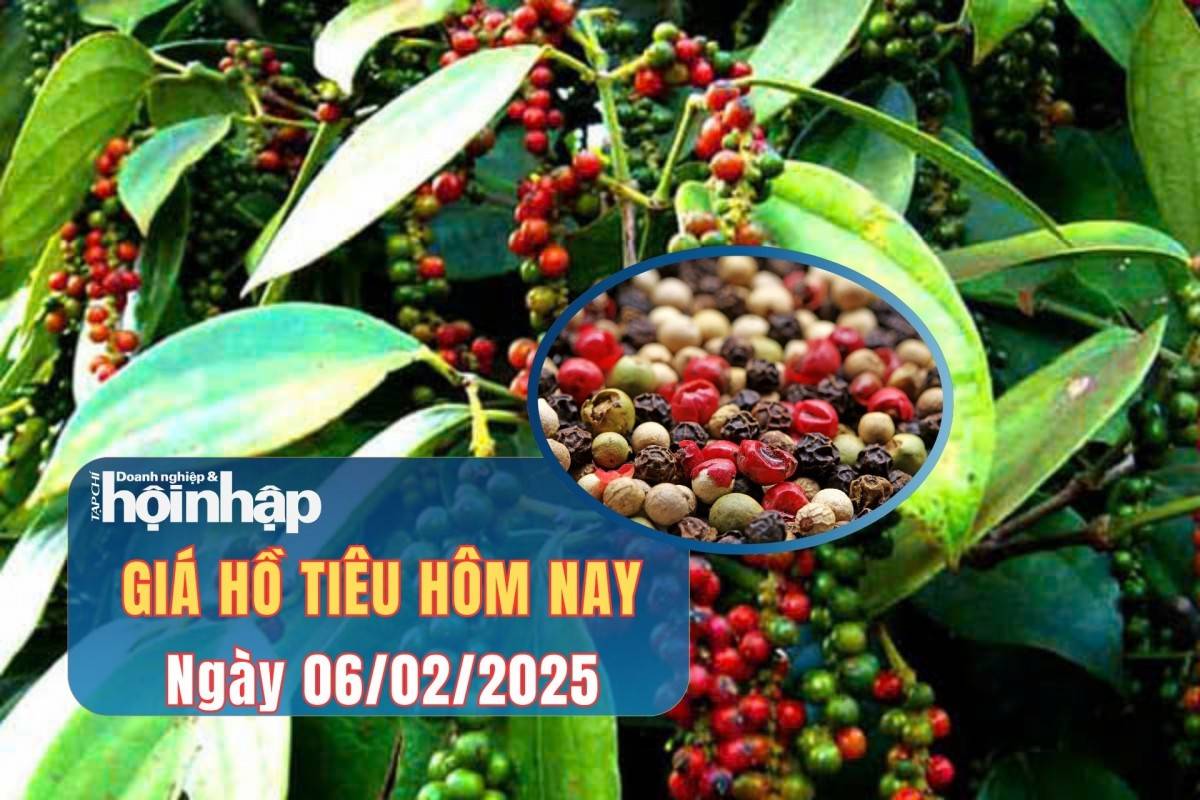 Giá tiêu hôm nay 6/2: 