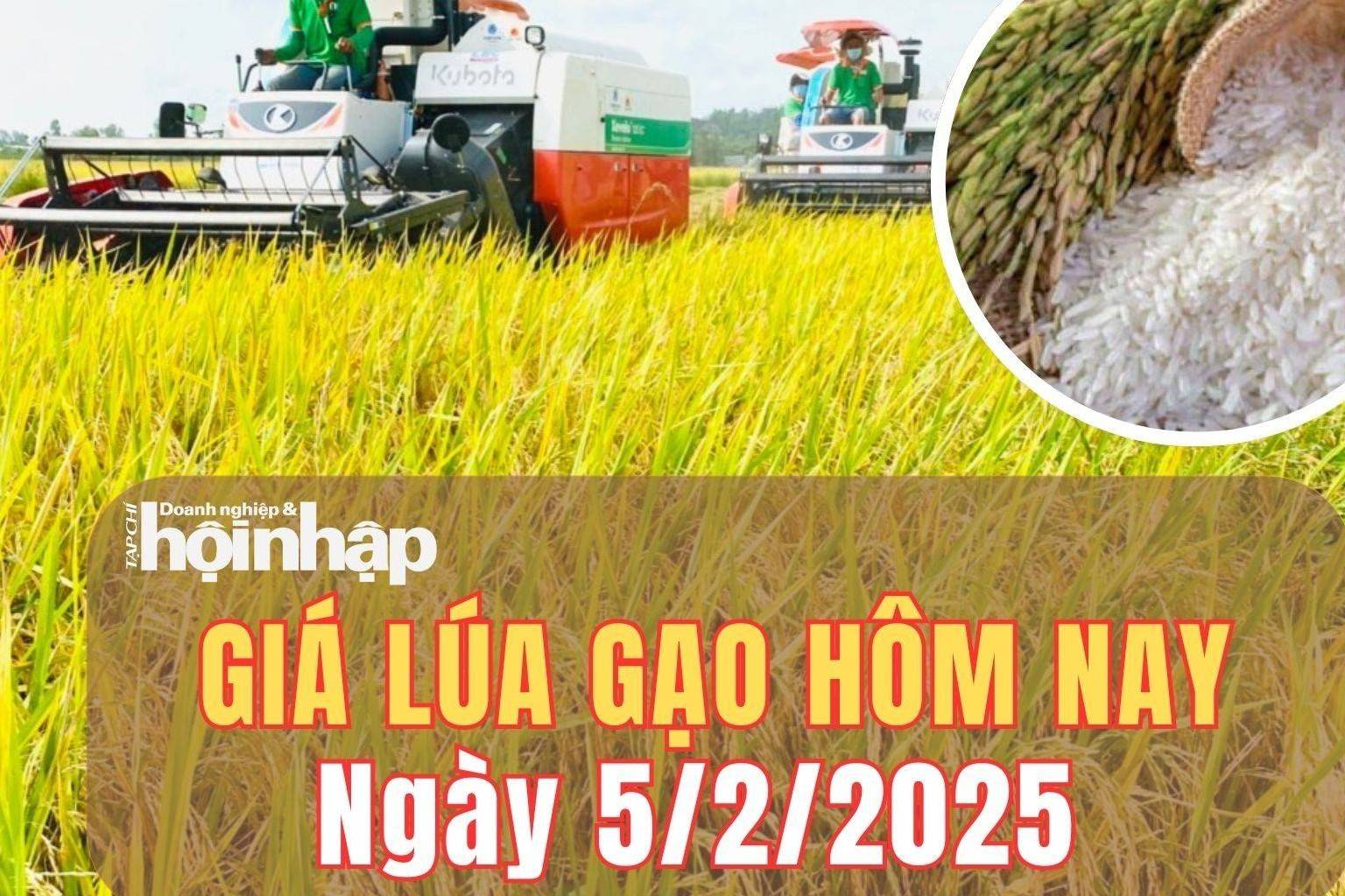 Giá lúa gạo hôm nay 5/2/2025: Giá lúa gạo giảm từ 50 - 100 đồng/kg