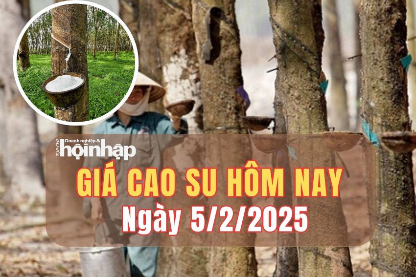 giá cao su giá cao su