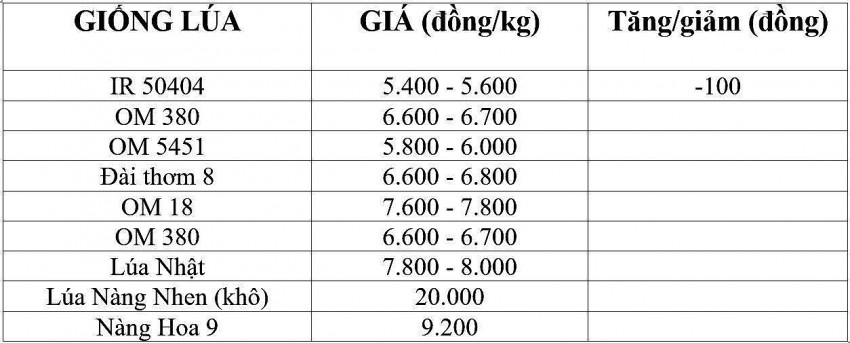 giá lúa gạo giá lúa gạo