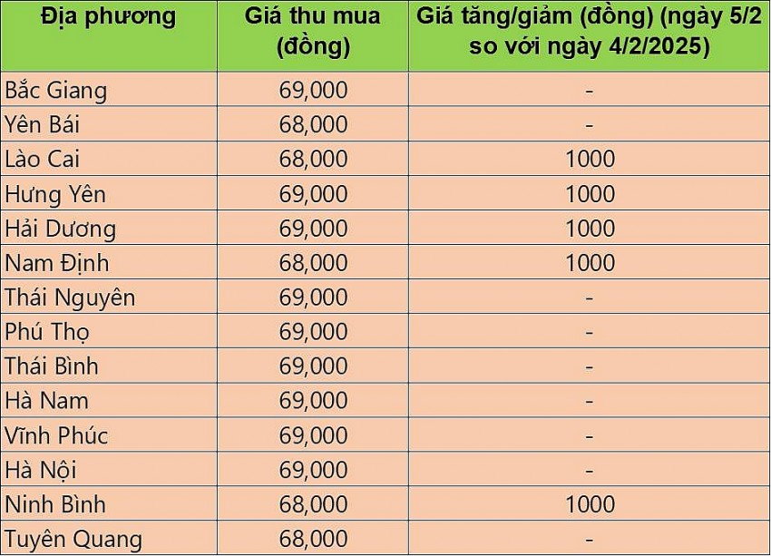 giá heo hơi giá heo hơi