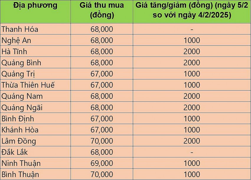giá heo hơi giá heo hơi