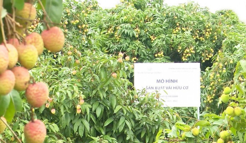 Bắc Giang: Phấn đấu tăng trưởng kinh tế (GRDP) năm 2025 đạt 13,6%