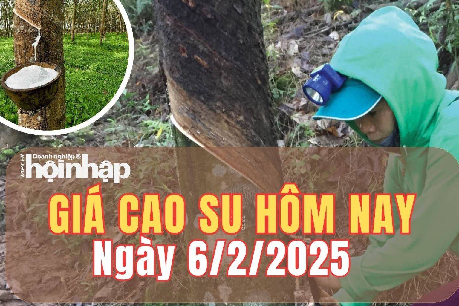 Giá cao su hôm nay 6/2/2025: Giá cao su thế giới tăng - giảm trái chiều