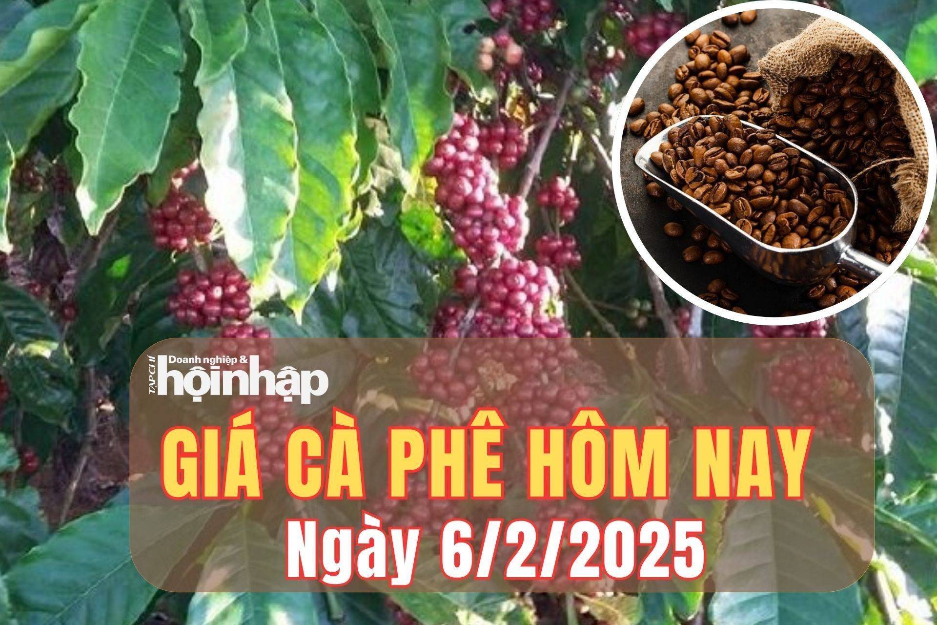 Giá cà phê hôm nay 6/2/2025: Tăng phiên thứ 10 liên tiếp, giá cà phê Arabica lập kỷ lục mới