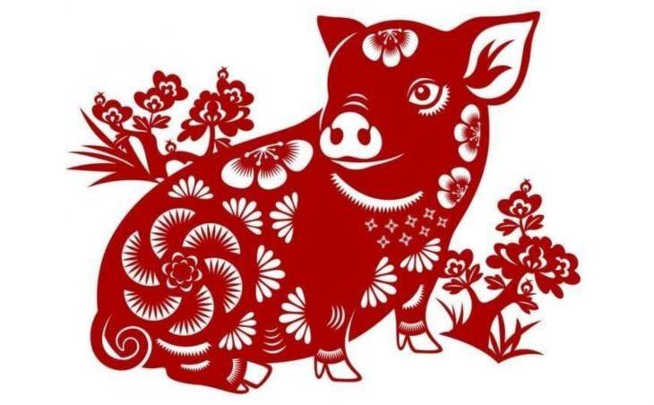 Tử vi hôm nay ngày 2/5/2025 tuổi Hợi