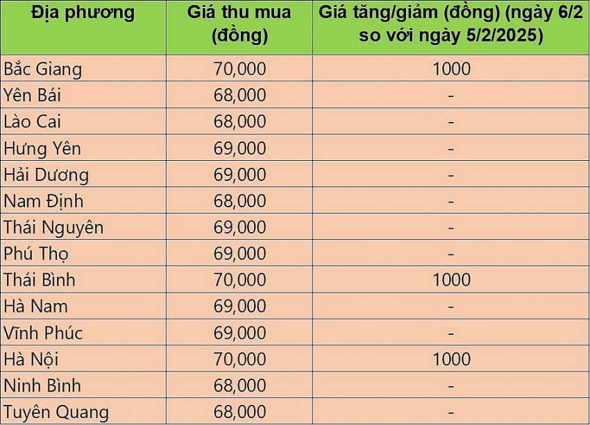 giá heo hơi giá heo hơi