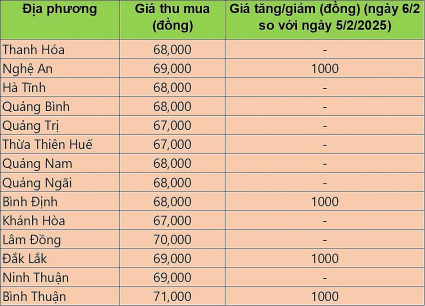 giá heo hơi giá heo hơi