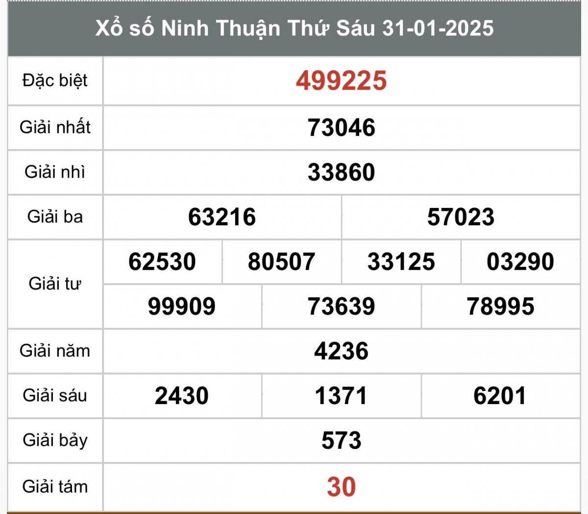 Xem kết quả Xổ số Ninh Thuận ngày 31 tháng 1 năm 2025, XSNT 31/1