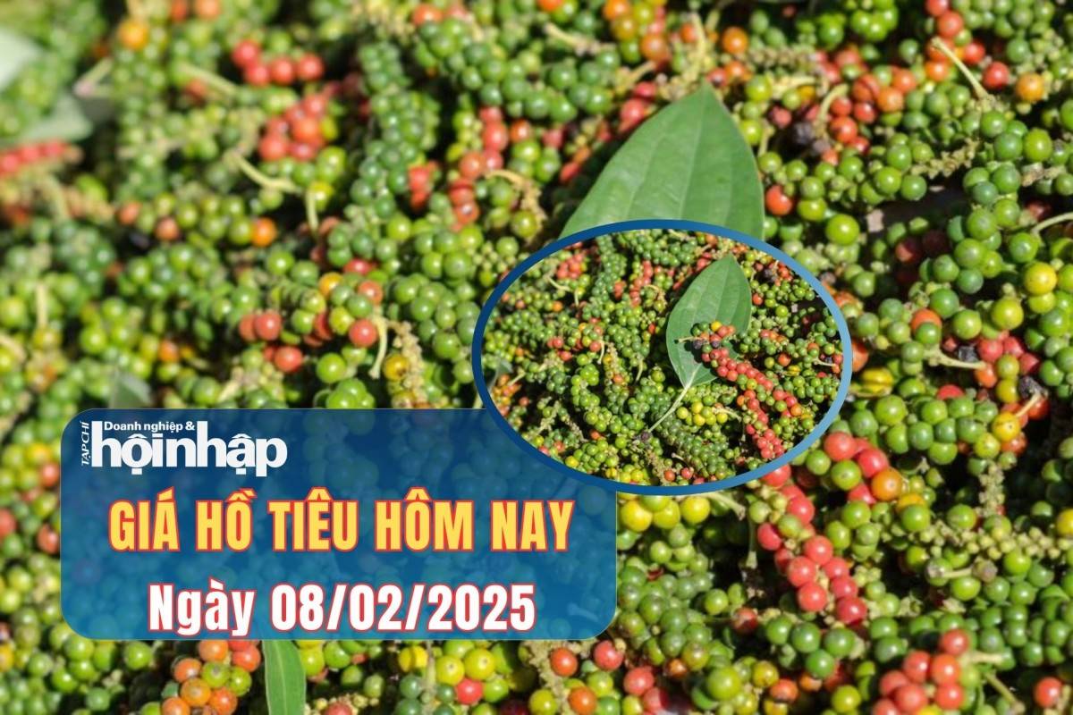 Giá tiêu hôm nay 7/2: Giá tiêu trong nước tiếp đà tăng mạnh