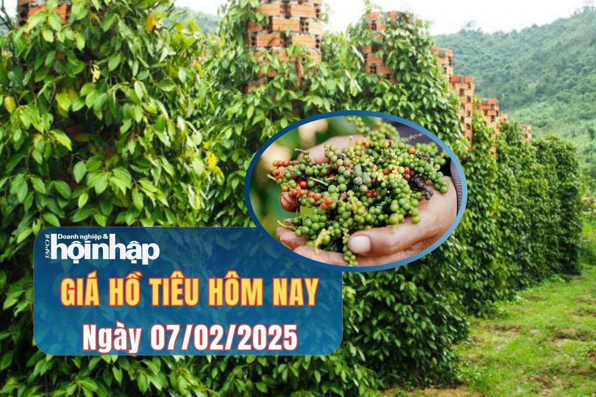 Giá tiêu hôm nay 7/2: Giá tiêu trong nước tiếp đà tăng mạnh