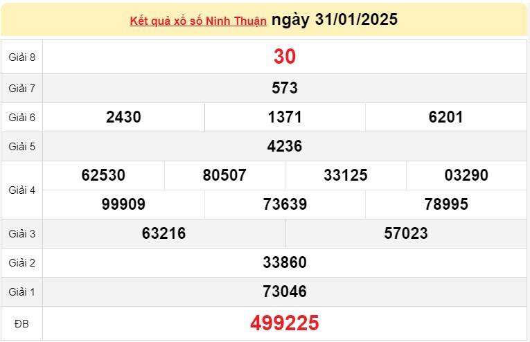 XSNT 31/1, Kết quả xổ số Ninh Thuận hôm nay 31/1/2025, Trực tiếp XSNT ngày 31 tháng 1