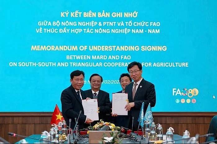 FAO sẵn sàng hỗ trợ Việt Nam tham gia sâu hơn vào Hợp tác Nam - Nam