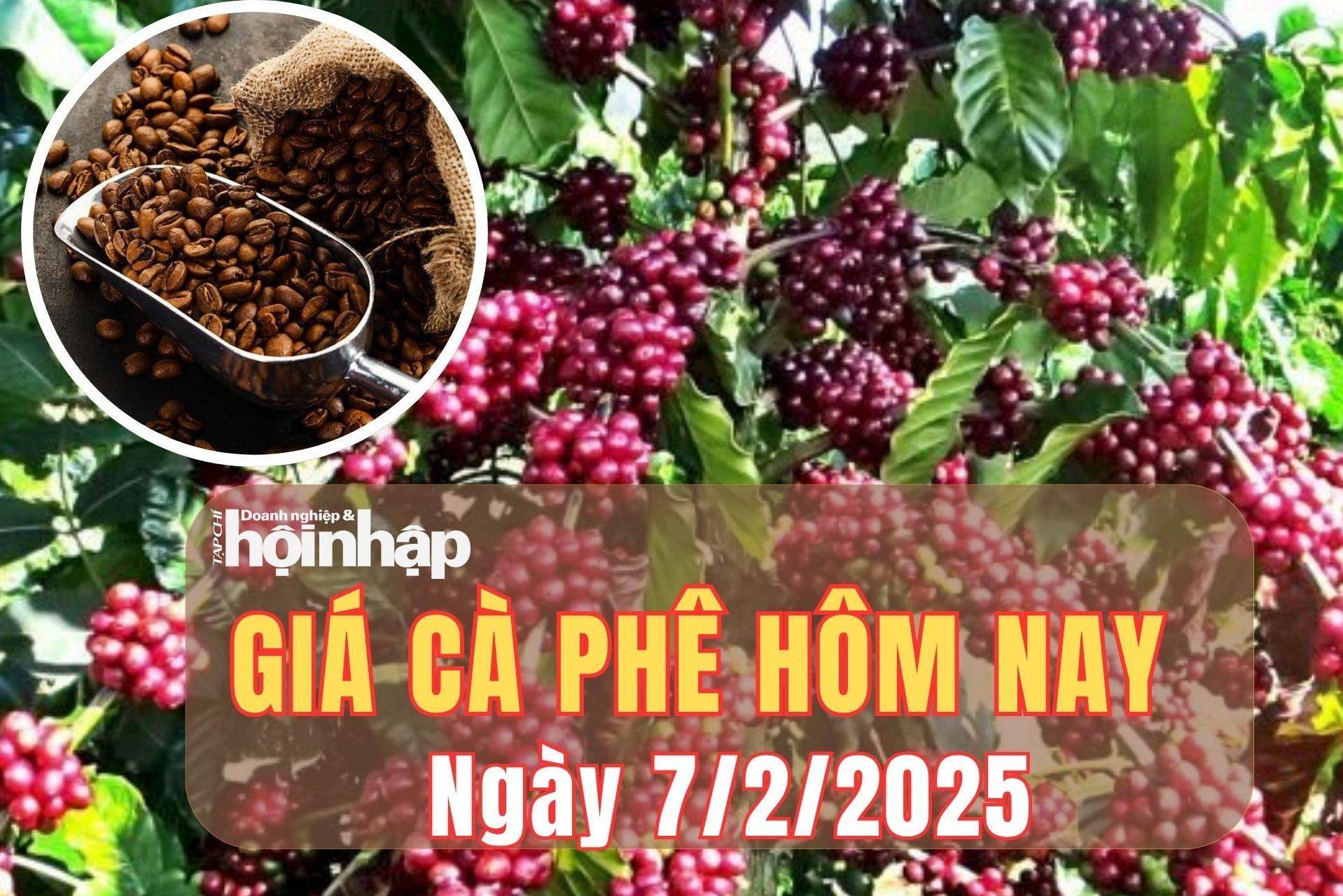 Giá cà phê hôm nay 7/2/2025: Giá cà phê trong nước tiếp đà tăng từ 1.200 - 1.400 đồng/kg