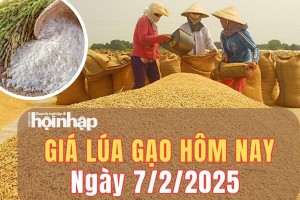 Giá lúa gạo hôm nay 7/2/2025: Giá gạo trong nước tăng - giảm trái chiều với biên độ lớn