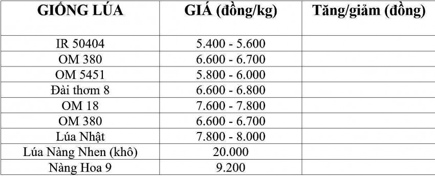 giá lúa gạo giá lúa gạo