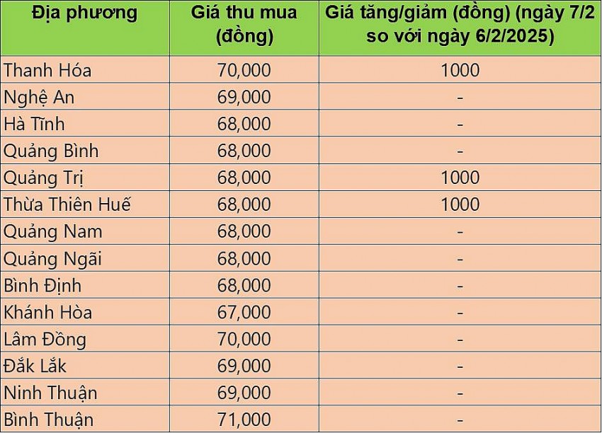 giá heo hơi giá heo hơi