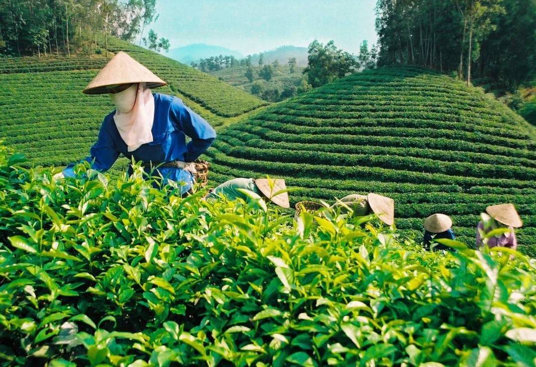 Thái Nguyên: Đẩy mạnh chính sách tín dụng cho doanh nghiệp nhỏ và vừa