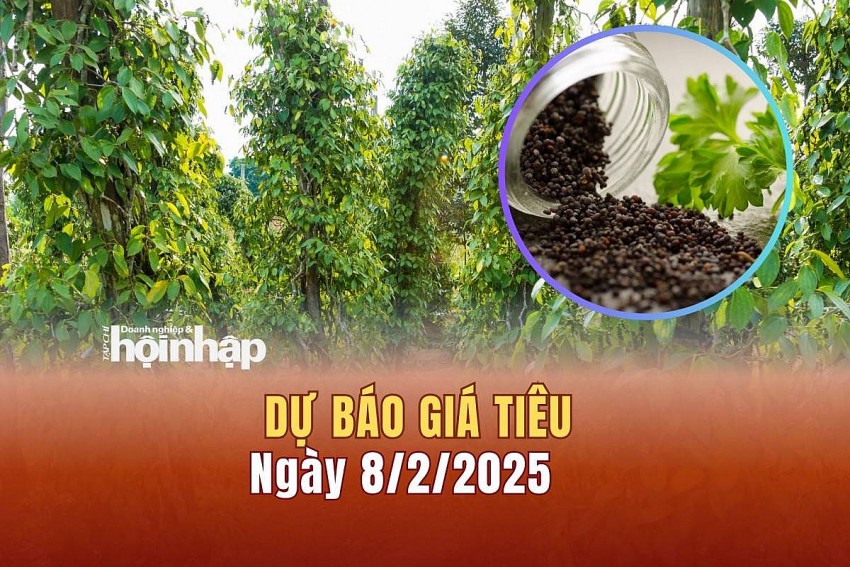 Dự báo giá tiêu 8/2/2025 Dự báo giá tiêu 8/2/2025
