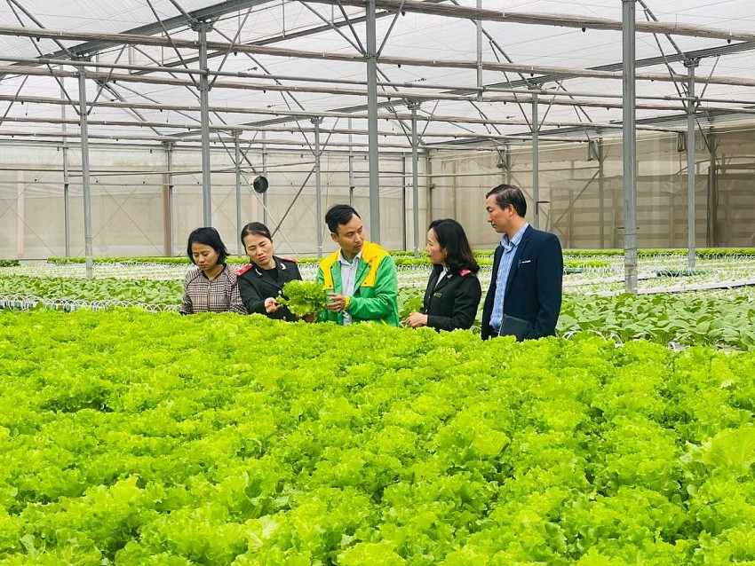 Bình Dương thực hiện Tổng điều tra nông thôn, nông nghiệp năm 2025