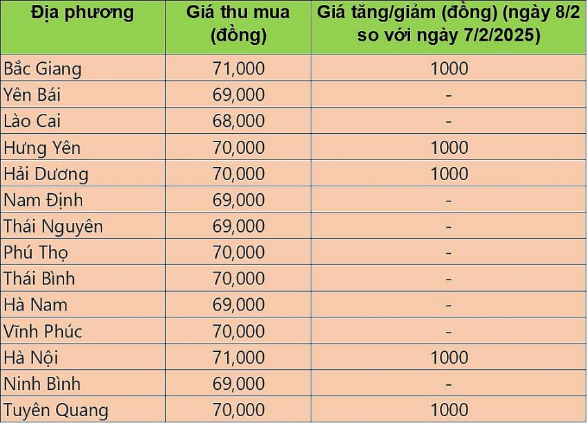 Bảng giá heo hơi tại miền Bắc hôm nay 8/2/2025. Bảng giá heo hơi tại miền Bắc hôm nay 8/2/2025.