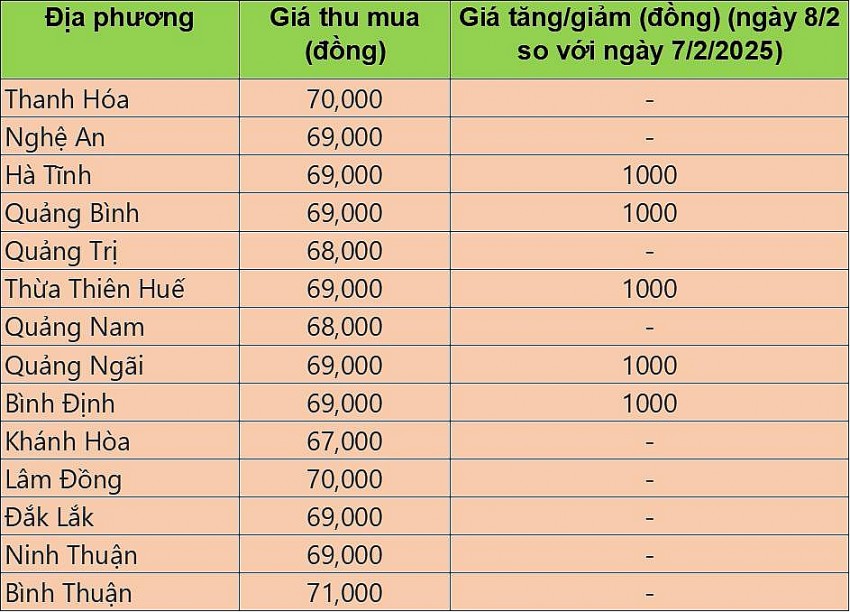Bảng giá heo hơi tại miền Trung hôm nay 8/2/2025. Bảng giá heo hơi tại miền Trung hôm nay 8/2/2025.