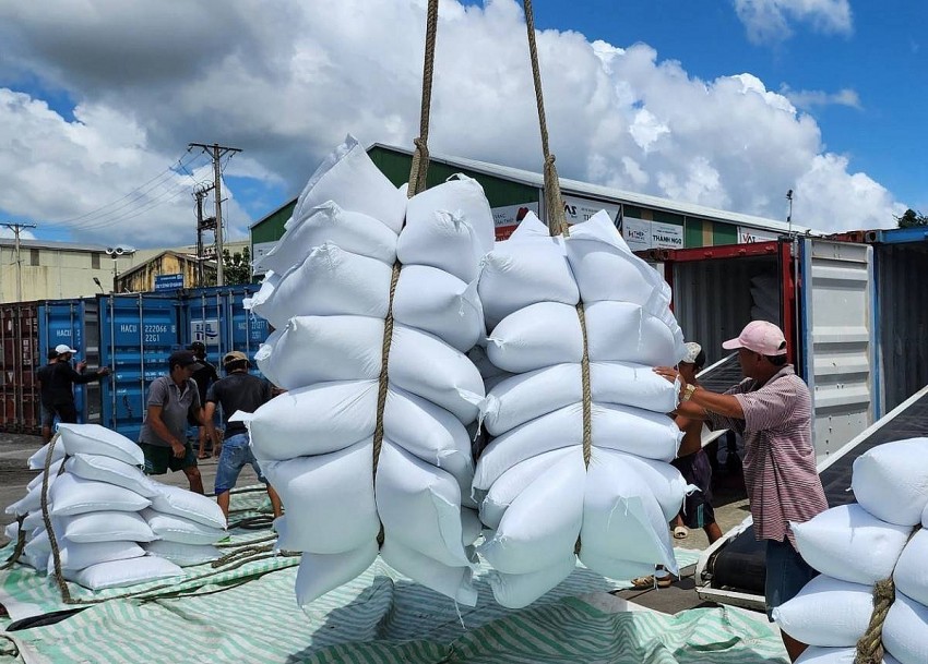 Tiến tới sửa đổi quy định về xuất khẩu gạo Tiến tới sửa đổi quy định về xuất khẩu gạo