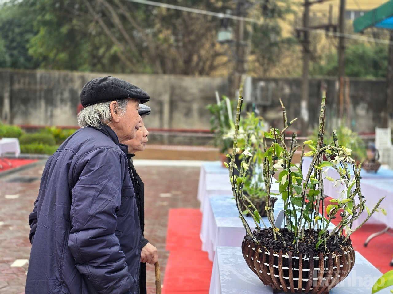 Không gian sắc màu thiên nhiên tại Supe Lâm Thao Không gian sắc màu thiên nhiên tại Supe Lâm Thao