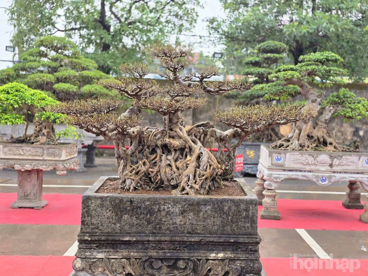 Không gian sắc màu thiên nhiên tại Supe Lâm Thao Không gian sắc màu thiên nhiên tại Supe Lâm Thao