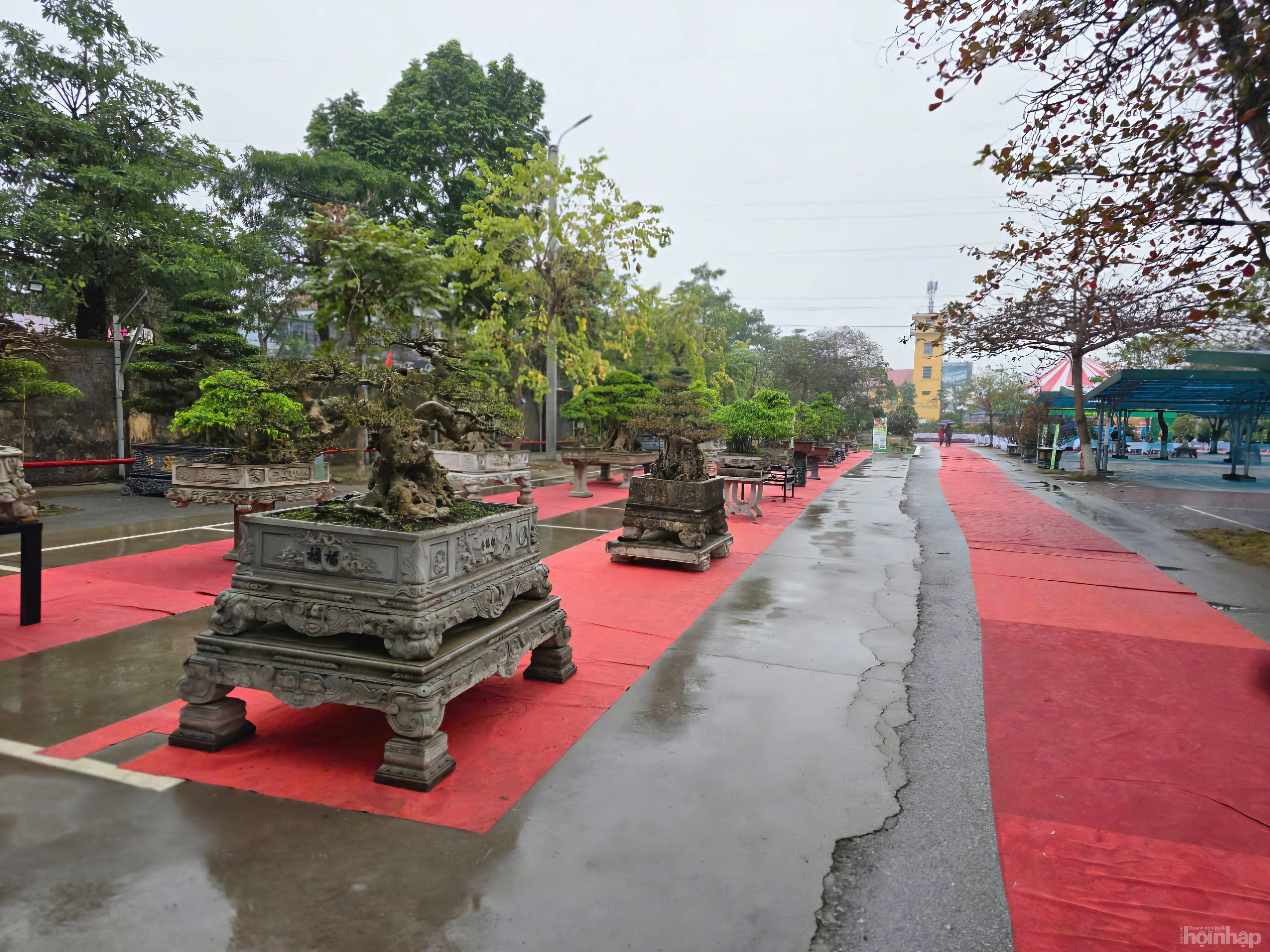 Không gian sắc màu thiên nhiên tại Supe Lâm Thao Không gian sắc màu thiên nhiên tại Supe Lâm Thao