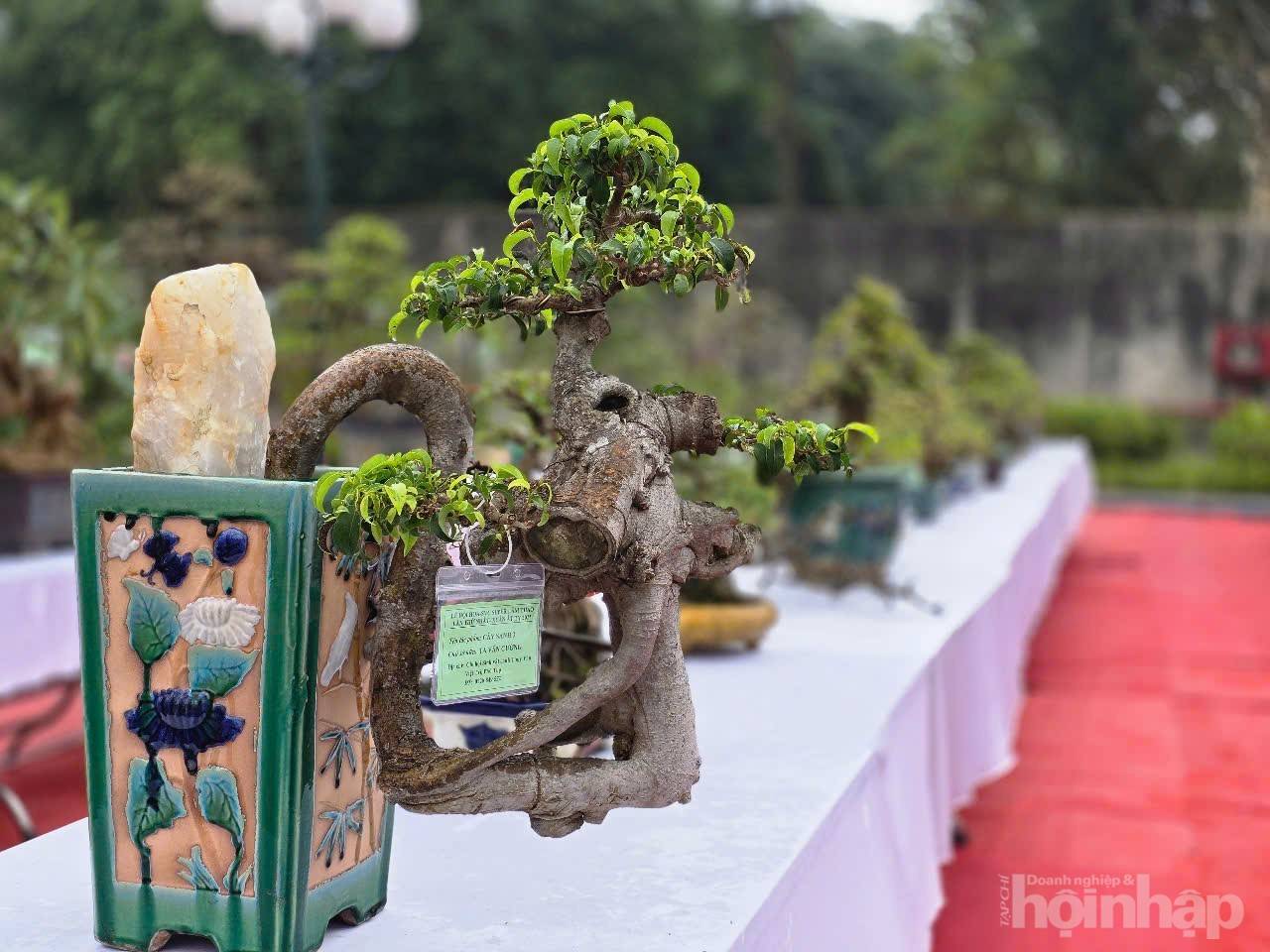 Không gian sắc màu thiên nhiên tại Supe Lâm Thao Không gian sắc màu thiên nhiên tại Supe Lâm Thao