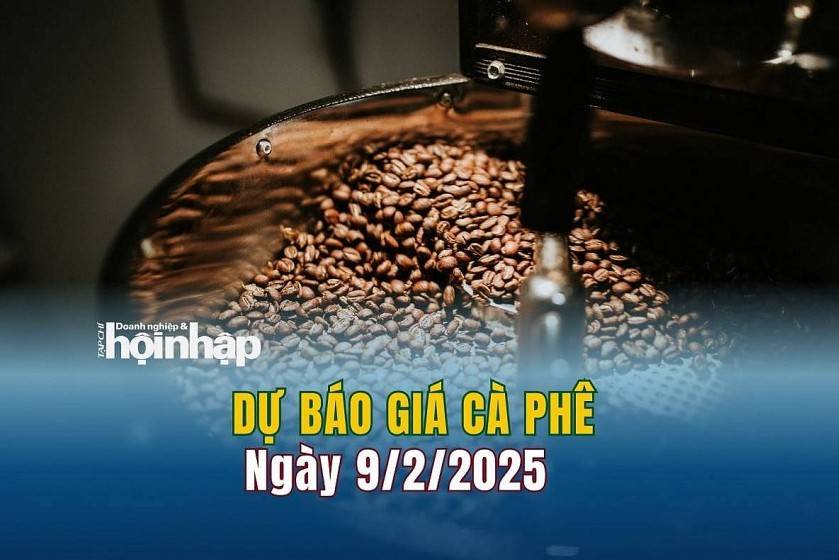 Dự báo giá cà phê 9/2: Giá cà phê trong nước giảm mạnh