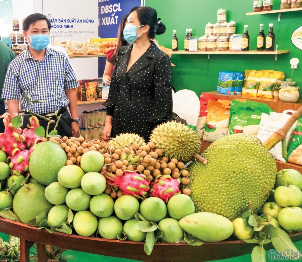 Các loại trái cây của Cần Thơ được trưng bày, giới thiệu tại một hoạt động triển lãm được tổ chức trên địa bàn thành phố. (Ảnh CTO)