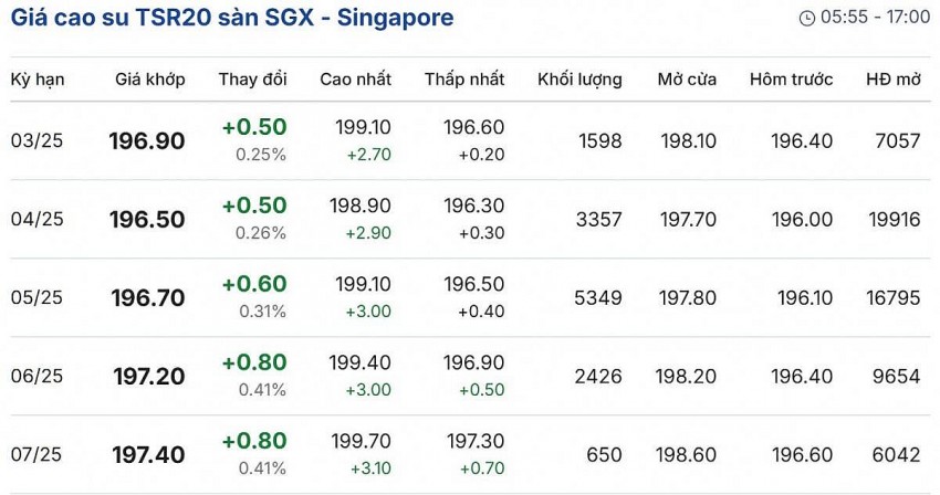 Giá cao su hôm nay 9/2/2025: Giá cao su trên sàn SGX - Singapore tăng