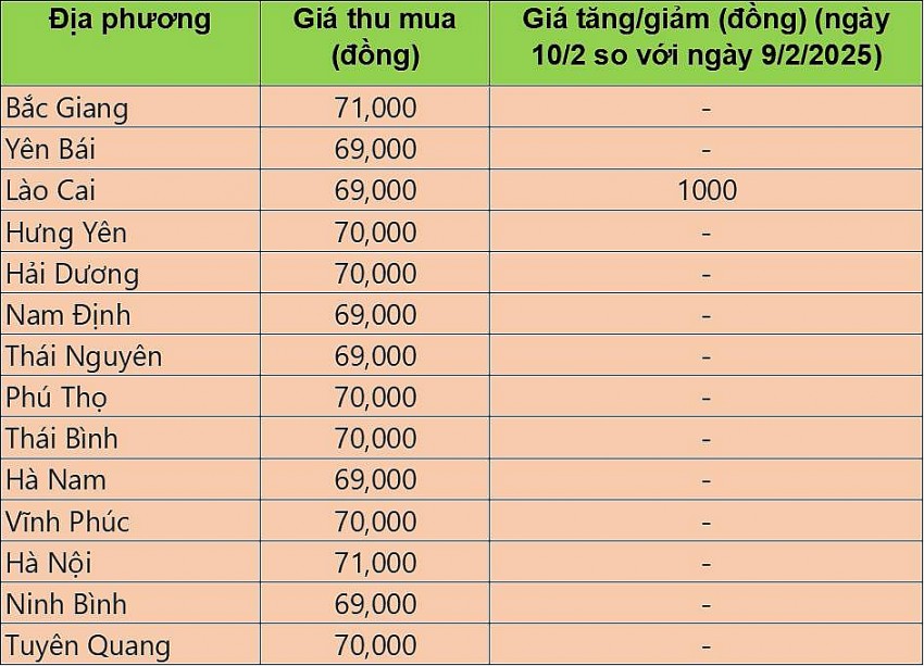 giá heo hơi giá heo hơi