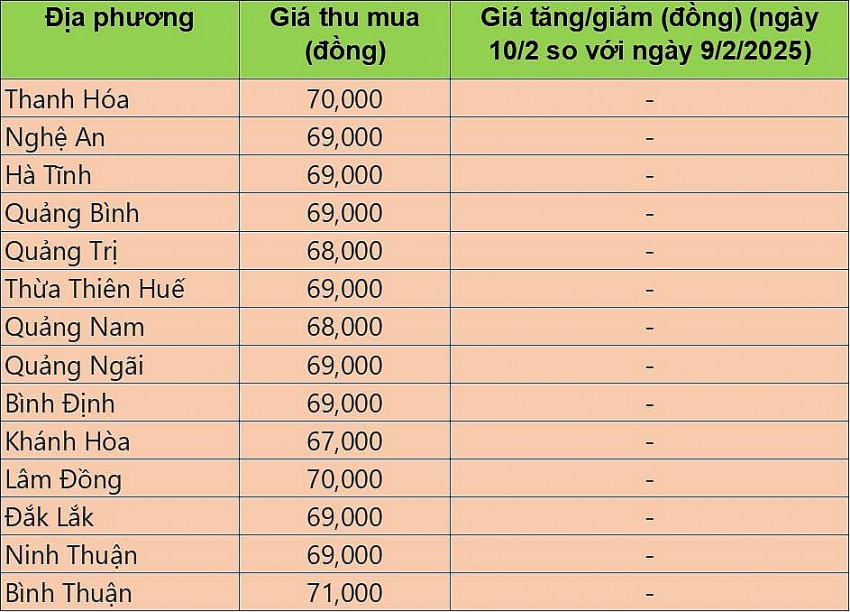 giá heo hơi giá heo hơi