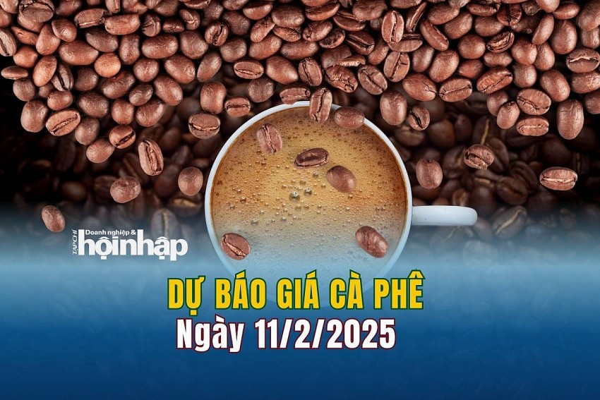 Dự báo giá cà phê 11/2/2025 Dự báo giá cà phê 11/2/2025