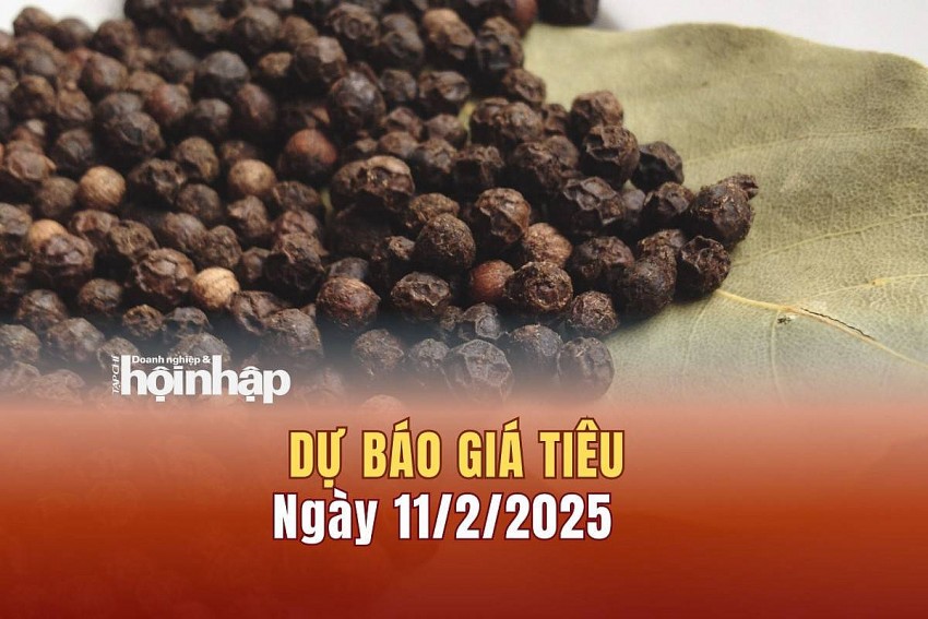 Dự báo giá tiêu 11/2/2025 Dự báo giá tiêu 11/2/2025