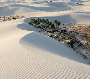 Bình Thuận: Bàu Trắng - "Sahara thu nhỏ" giữa lòng miền Trung