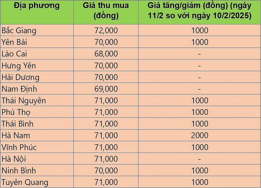 giá heo hơi giá heo hơi