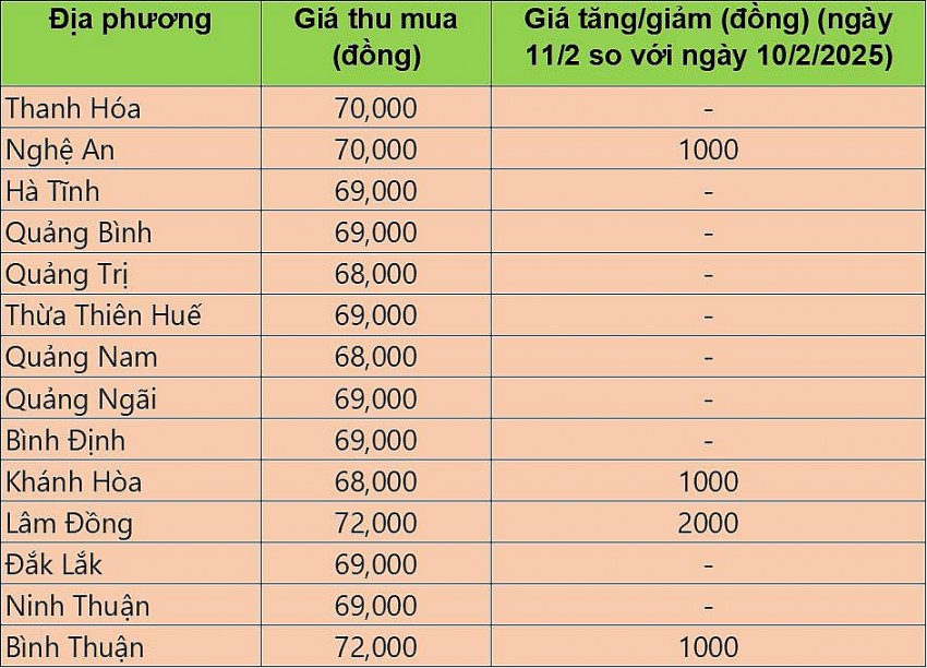giá heo hơi giá heo hơi