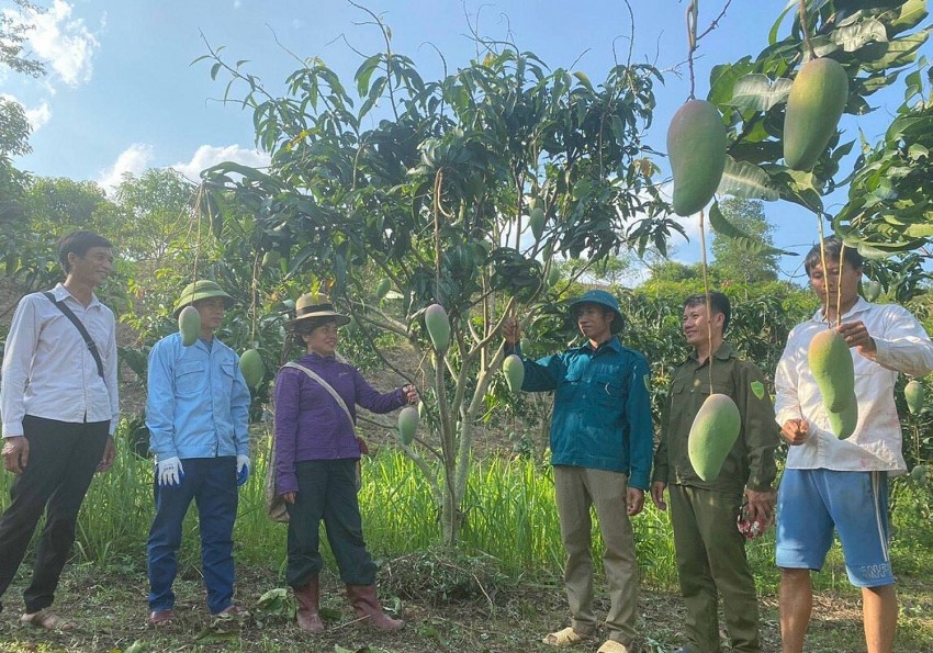 Ứng dụng khoa học công nghệ đem lại năng suất cao trong nông nghiệp. Ứng dụng khoa học công nghệ đem lại năng suất cao trong nông nghiệp.