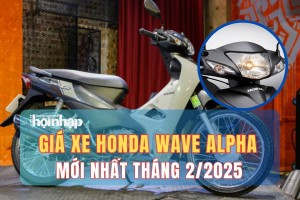 Giá xe máy Honda Wave Alpha mới nhất tháng 2/2025, giá xe Wave Alpha bản tiêu chuẩn từ 17 triệu đồng