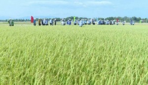 Quảng Bình: Ngành Nông nghiệp Quảng Bình nỗ lực bứt phá