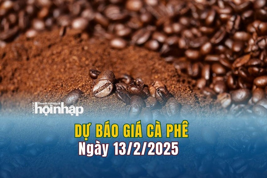Dự báo giá cà phê 13/2/2025