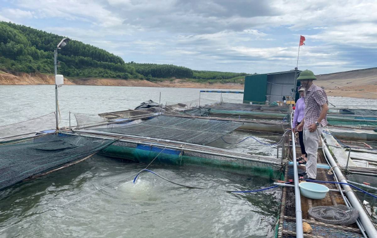 Ngành Nông nghiệp Quảng Bình nỗ lực bứt phá