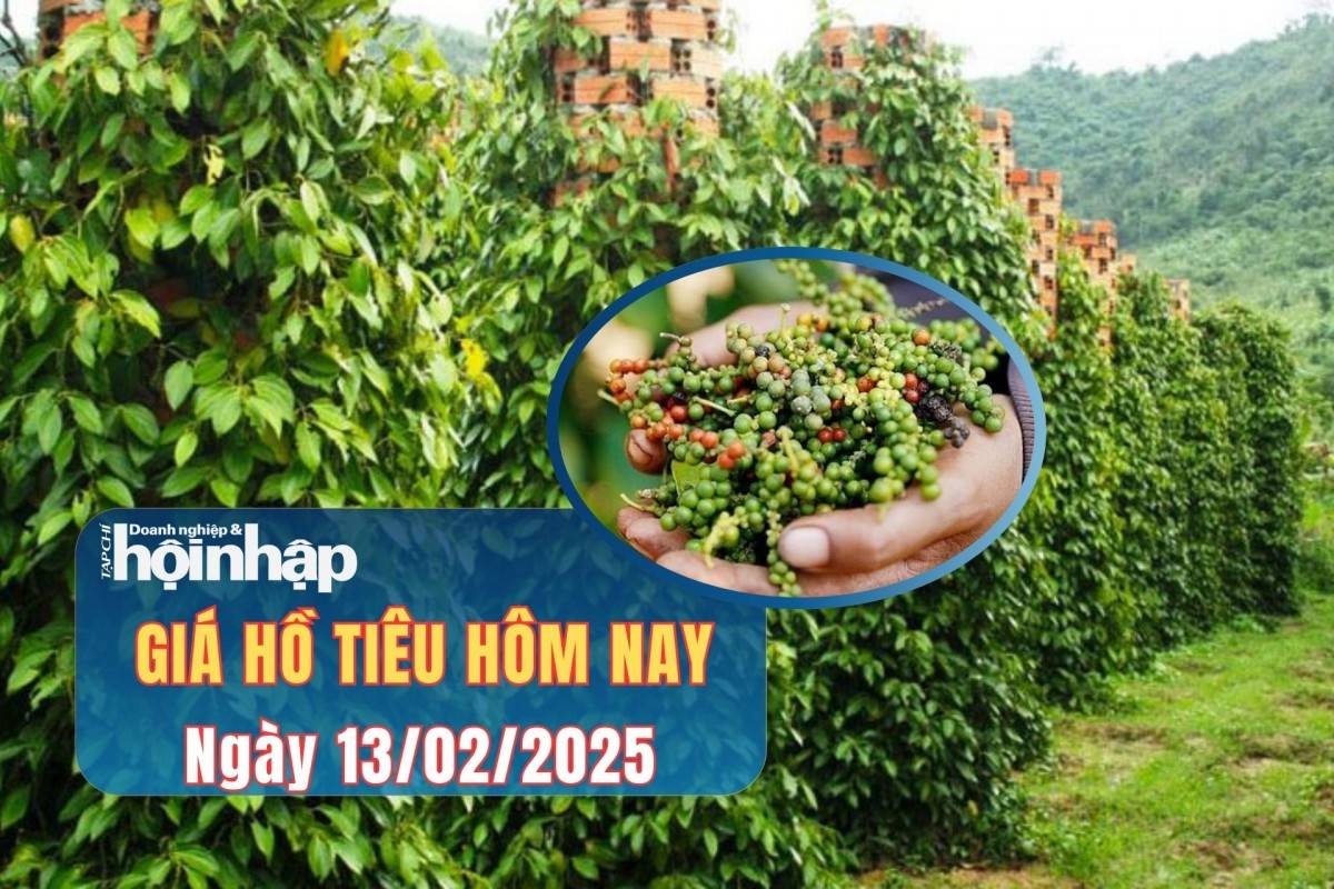 Giá tiêu hôm nay 13/2: