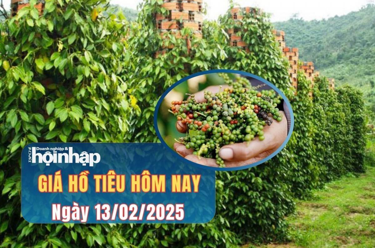 Giá tiêu hôm nay 13/2: Giá tiêu trong nước quay đầu giảm