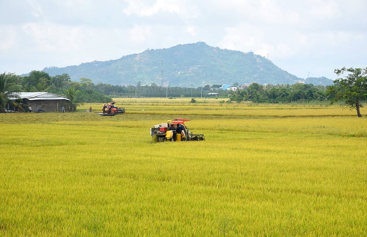An Giang: Thúc đẩy hợp tác đầu tư với CLB Doanh nhân Khánh Hòa - Sài Gòn